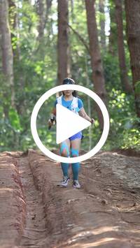 BIB:  <button type="button" onclick="openModal(26569704)" class="btn btn-primary btn-sm float-right" data-toggle="modal" data-target=".modal-high-quality">
                <i class="fa fa-download"></i> Download
                </button>